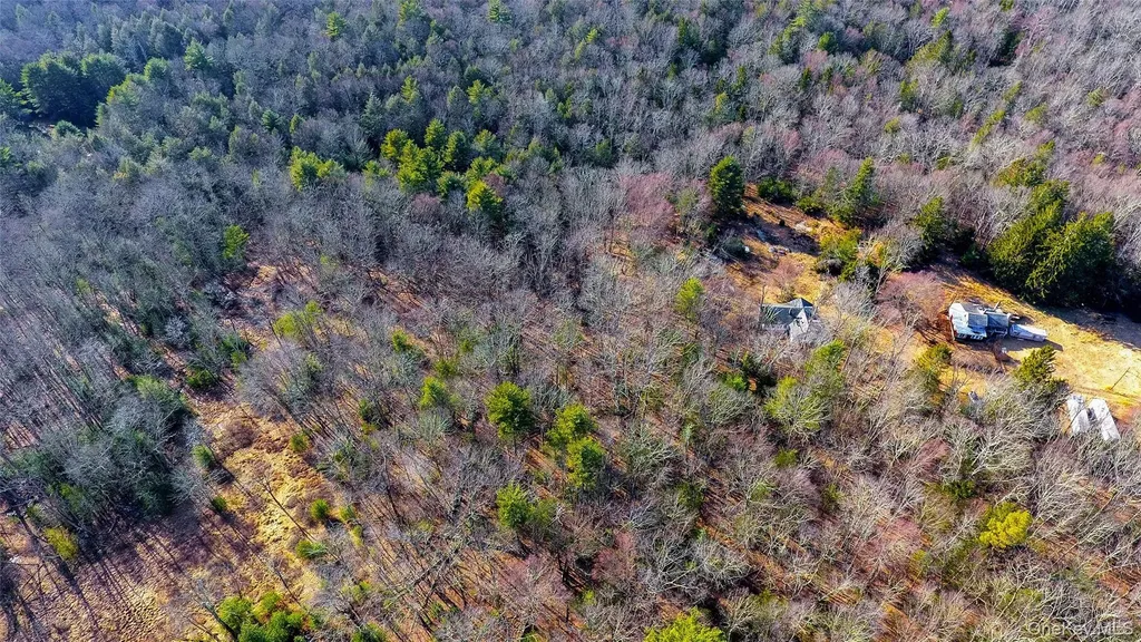 1021 Pine Kill Road Wurtsboro NY 12790