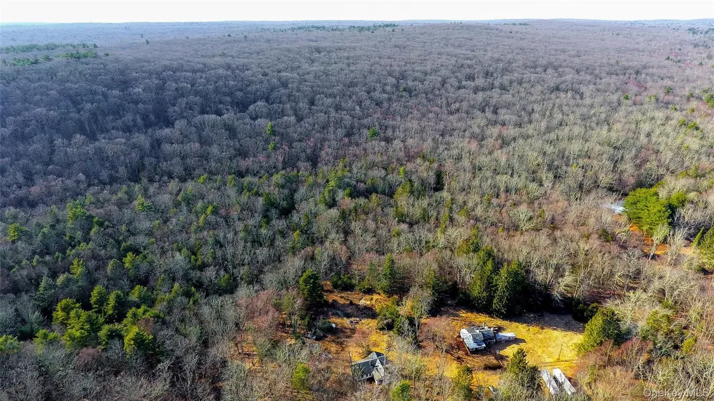 1021 Pine Kill Road Wurtsboro NY 12790
