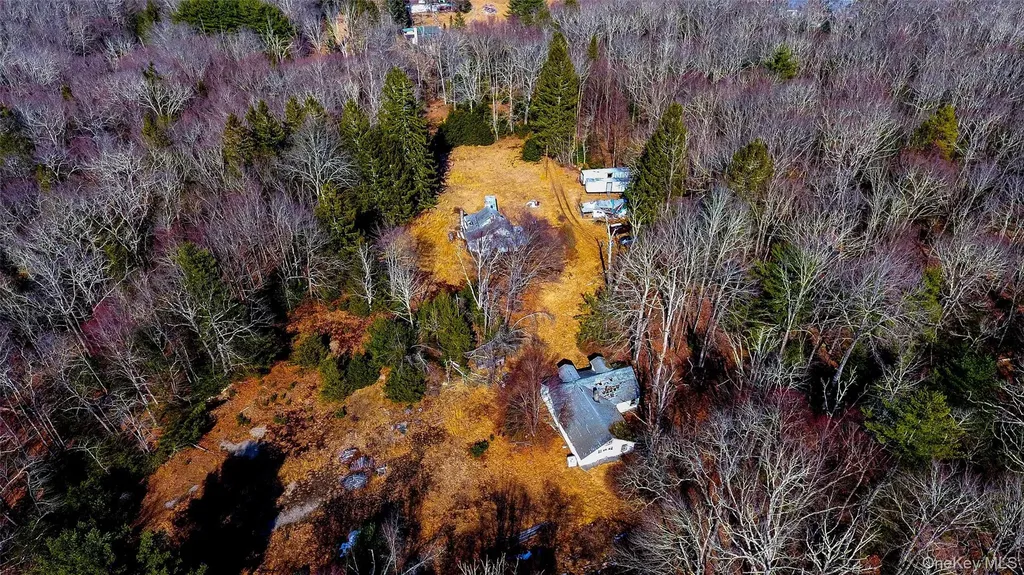 1021 Pine Kill Road Wurtsboro NY 12790