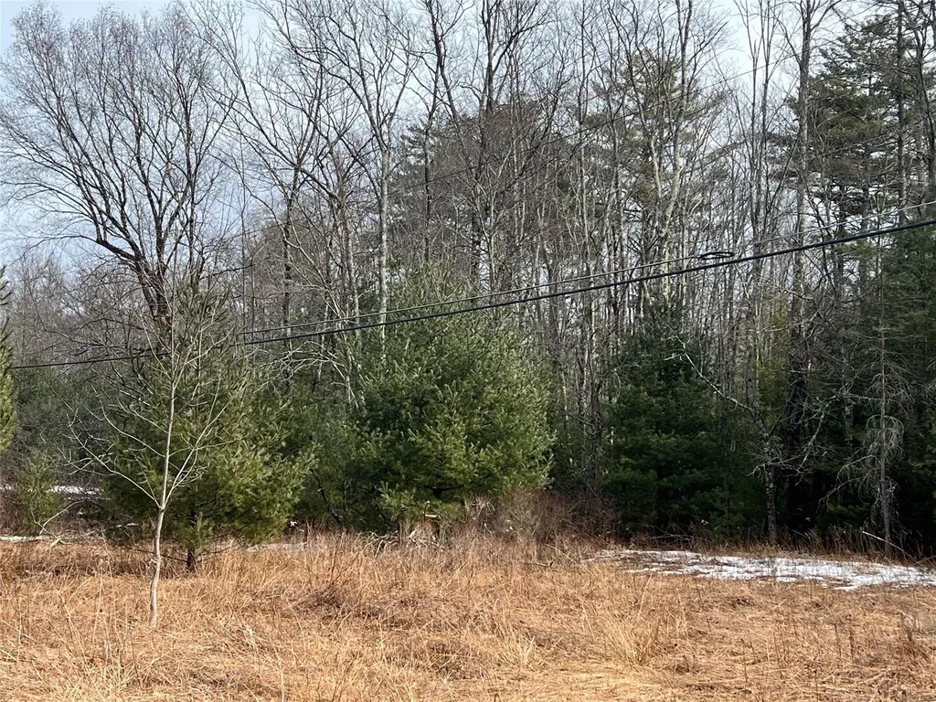 Martinfeld Road Greenfield Park NY 12435