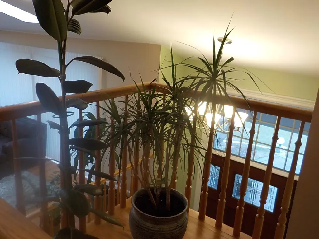 24 Sullivan Drive Jericho NY 11753