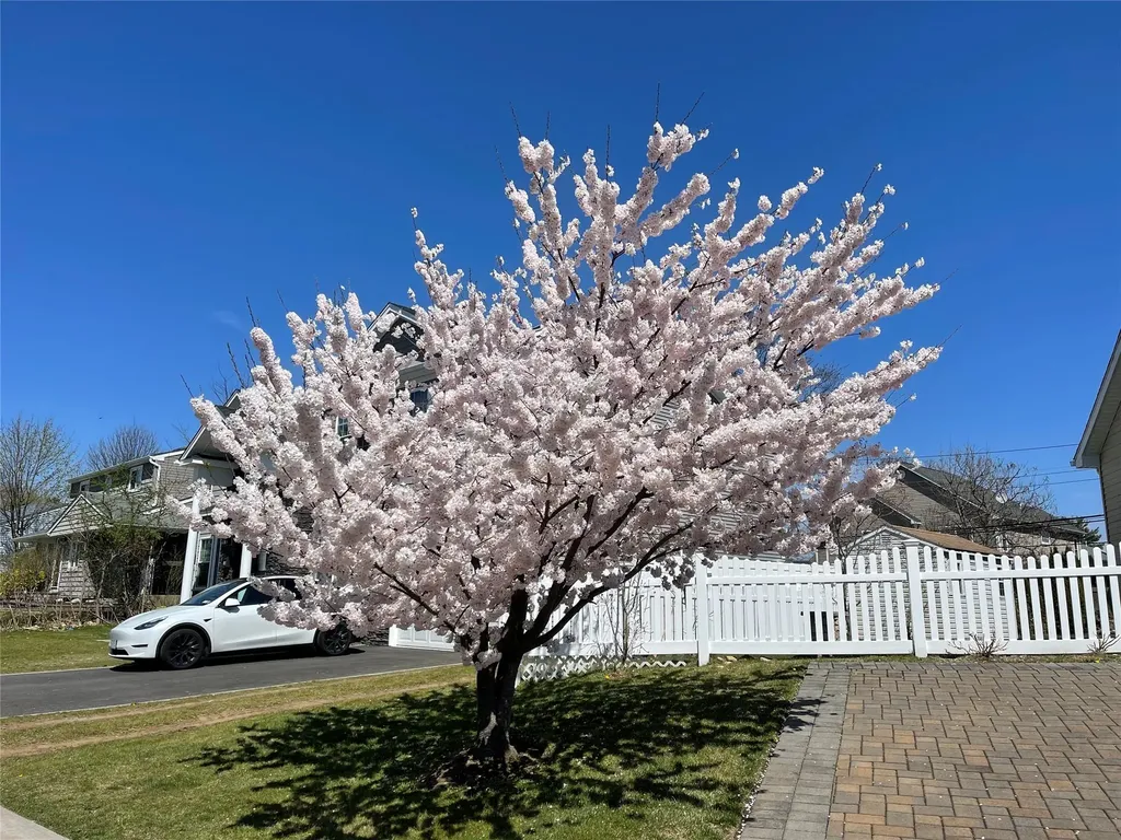 6 Alexander Drive Syosset NY 11791