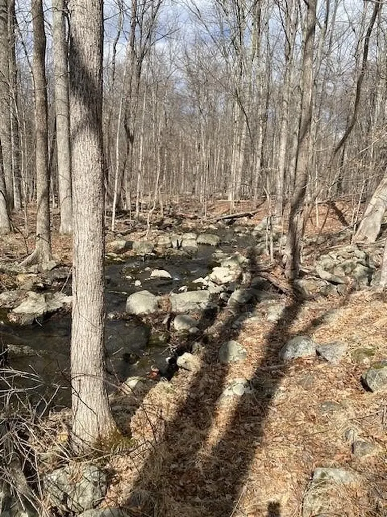 174 Burlingham Road Pine Bush NY 12566