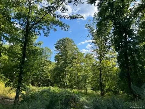 3405 Route 52 Stormville NY 12582