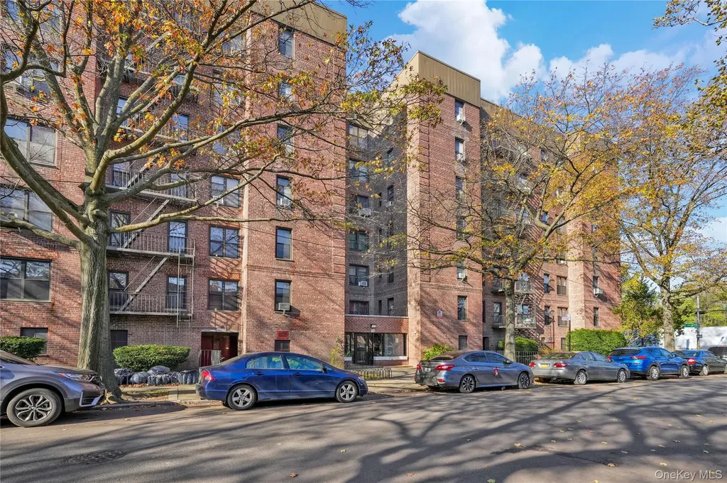 10 E 43rd Street Brooklyn NY 11203