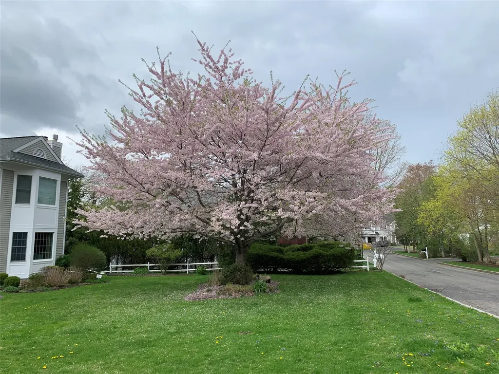 4 Morris Court Rye NY 10580