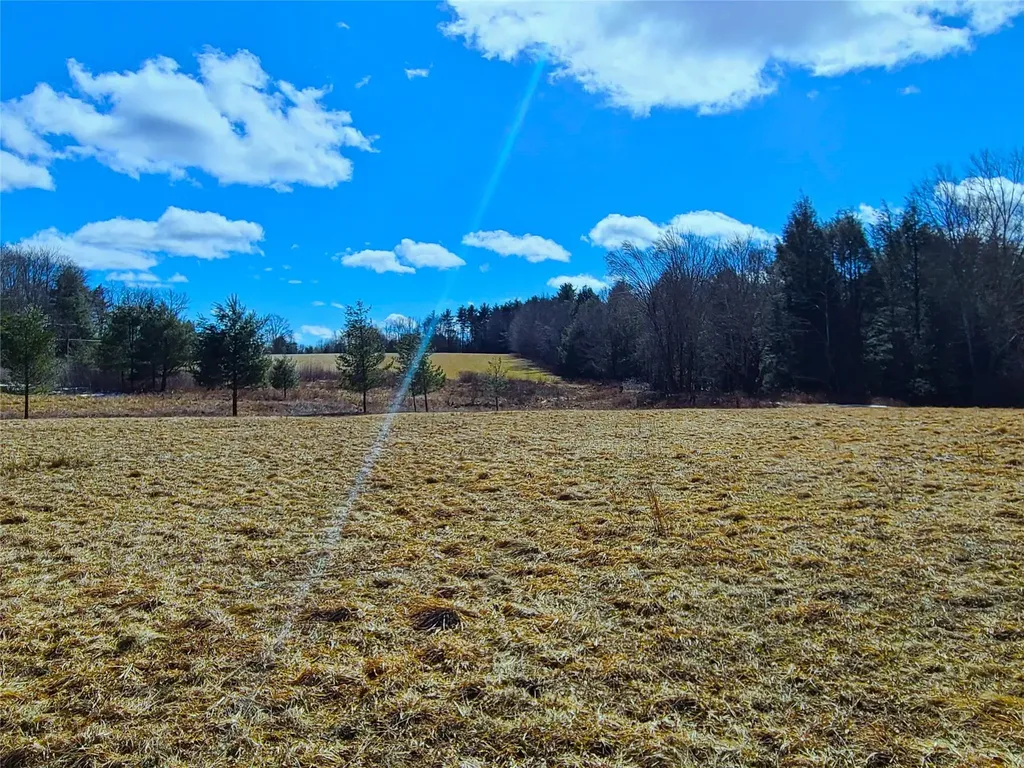 73 Westervelt Road Cochecton NY 12726