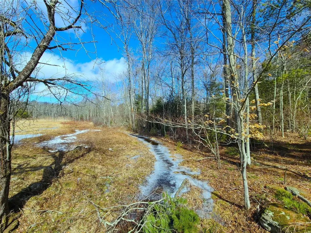 73 Westervelt Road Cochecton NY 12726