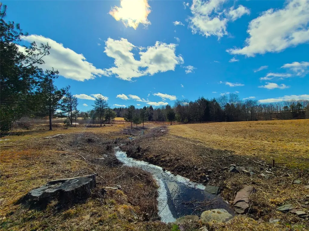 73 Westervelt Road Cochecton NY 12726