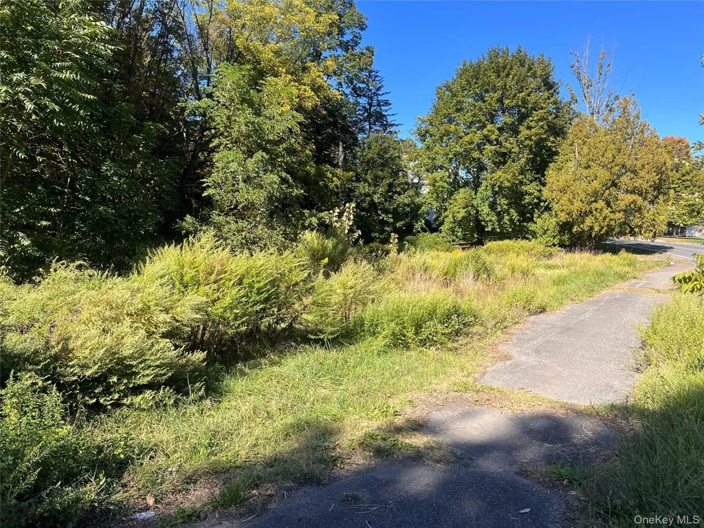 15 Main Street Napanoch NY 12458