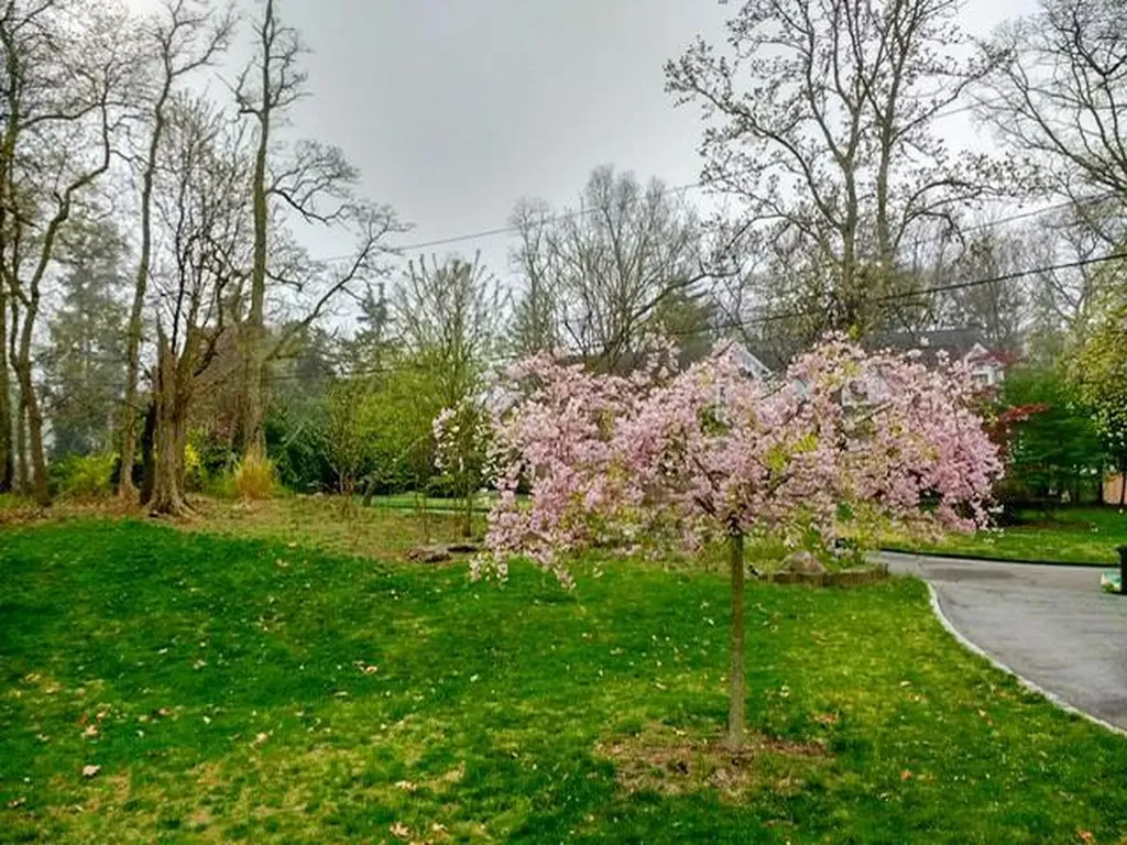 86 Highland Down Shoreham NY 11786