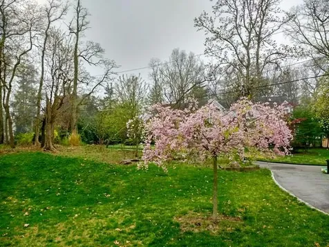 86 Highland Down Shoreham NY 11786