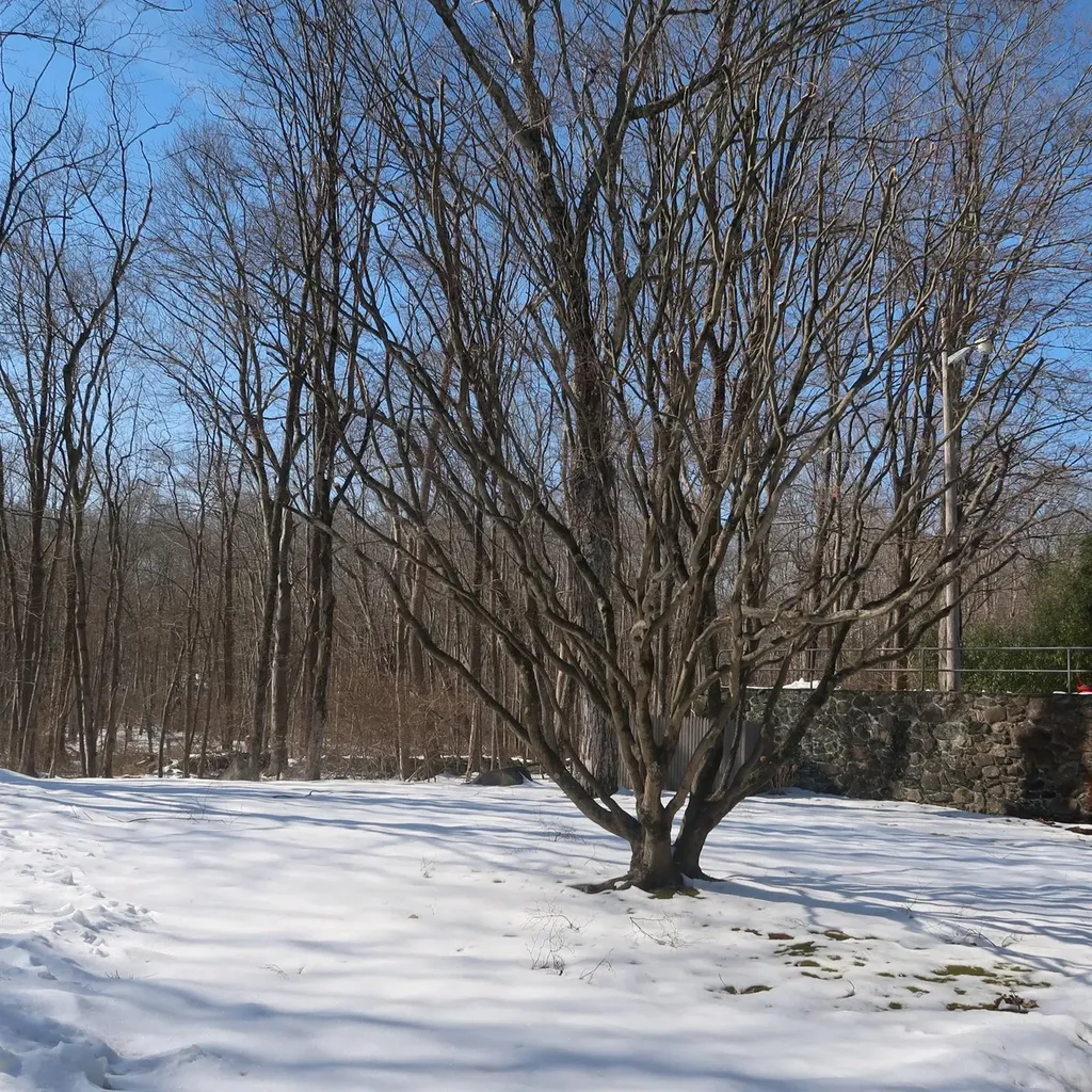 40 Westchester Avenue Pound Ridge NY 10576