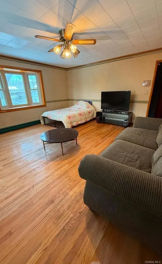 17 Allen Street Catskill NY 12414