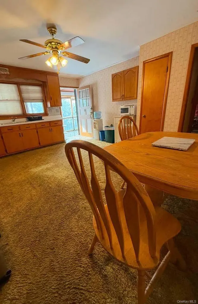 17 Allen Street Catskill NY 12414