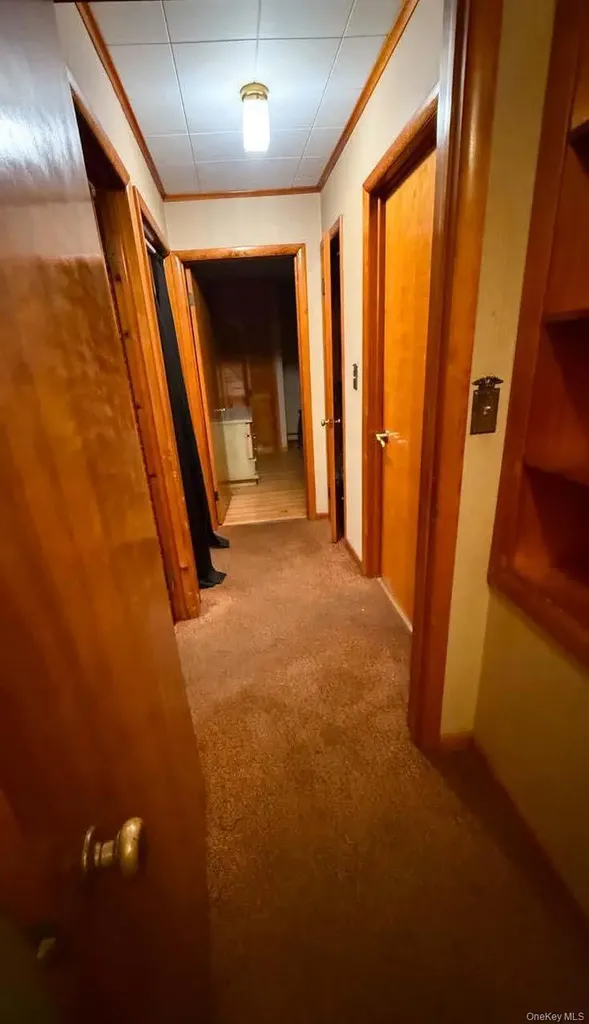 17 Allen Street Catskill NY 12414