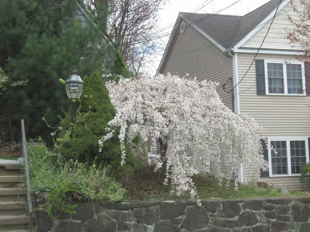 739 Lindbergh Avenue Peekskill NY 10566