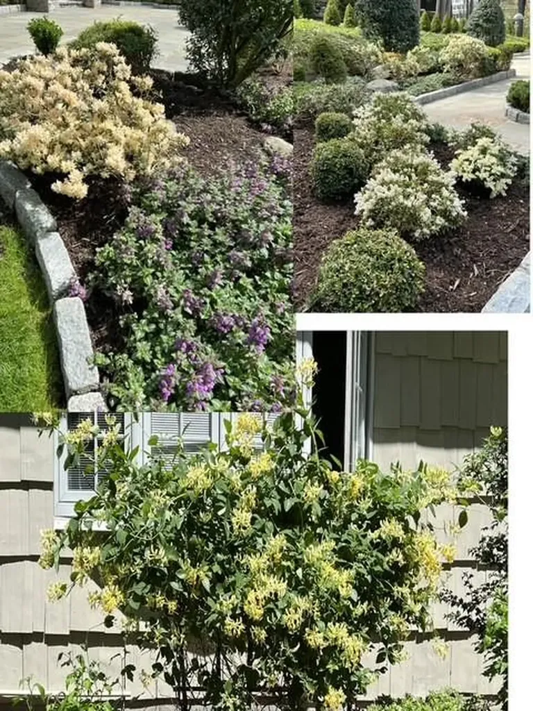 5 Grove Road Bedford NY 10506