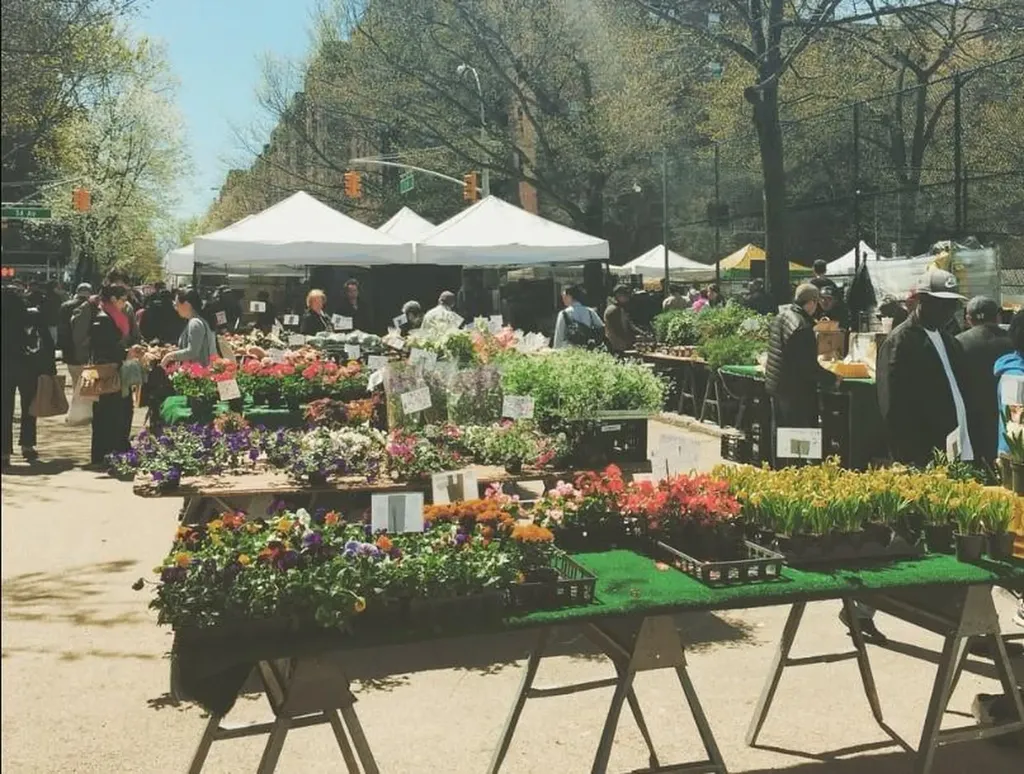 37-30 83rd Street Jackson Heights NY 11372