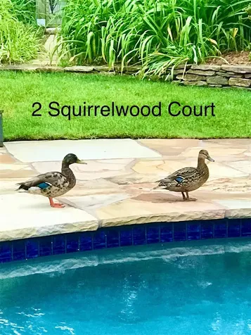 2 Squirrelwood Court New City NY 10956