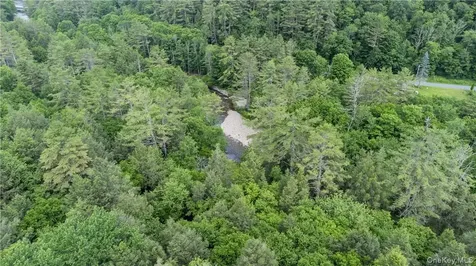 56 Saw Mill Road Claryville NY 12725