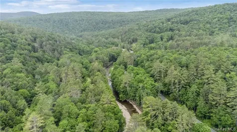 56 Saw Mill Road Claryville NY 12725