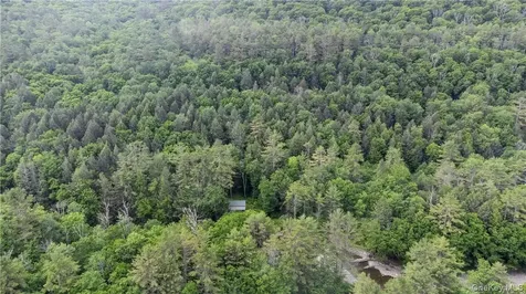 56 Saw Mill Road Claryville NY 12725