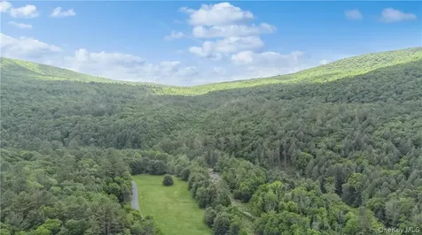 56 Saw Mill Road Claryville NY 12725