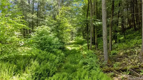 56 Saw Mill Road Claryville NY 12725