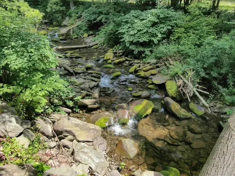 540 Rt-42 Shandaken NY 12480