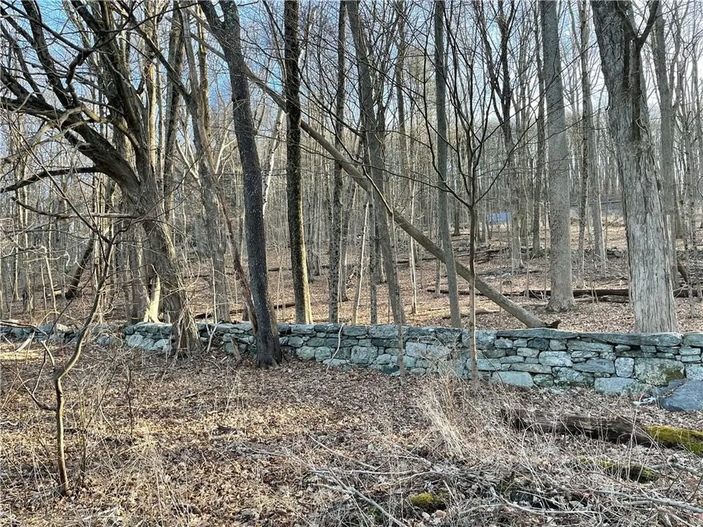 Dixon Road Carmel NY 14477