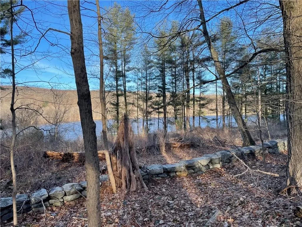 Dixon Road Carmel NY 14477