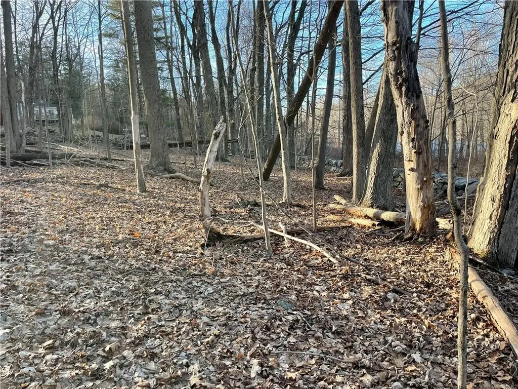 Dixon Road Carmel NY 14477