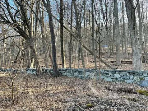 Dixon Road Carmel NY 14477