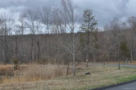 Stonecrest Lot #19 Court Hopewell Junction NY 12533