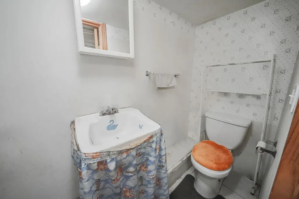295 Autumn Avenue Brooklyn NY 11208