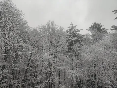 78 Schultz Hill Road Rhinebeck NY 12580