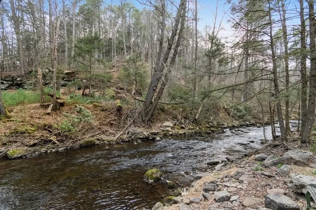 435 State Route 55 Eldred NY 12732