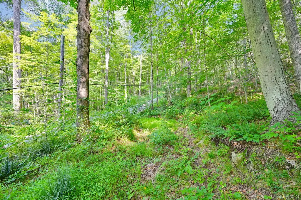 34 Gordon Road Carmel NY