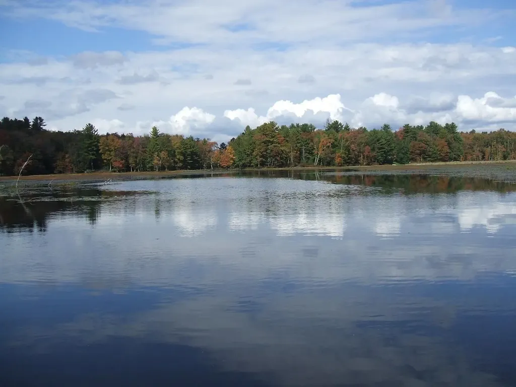RT-17B White Lake NY 12720