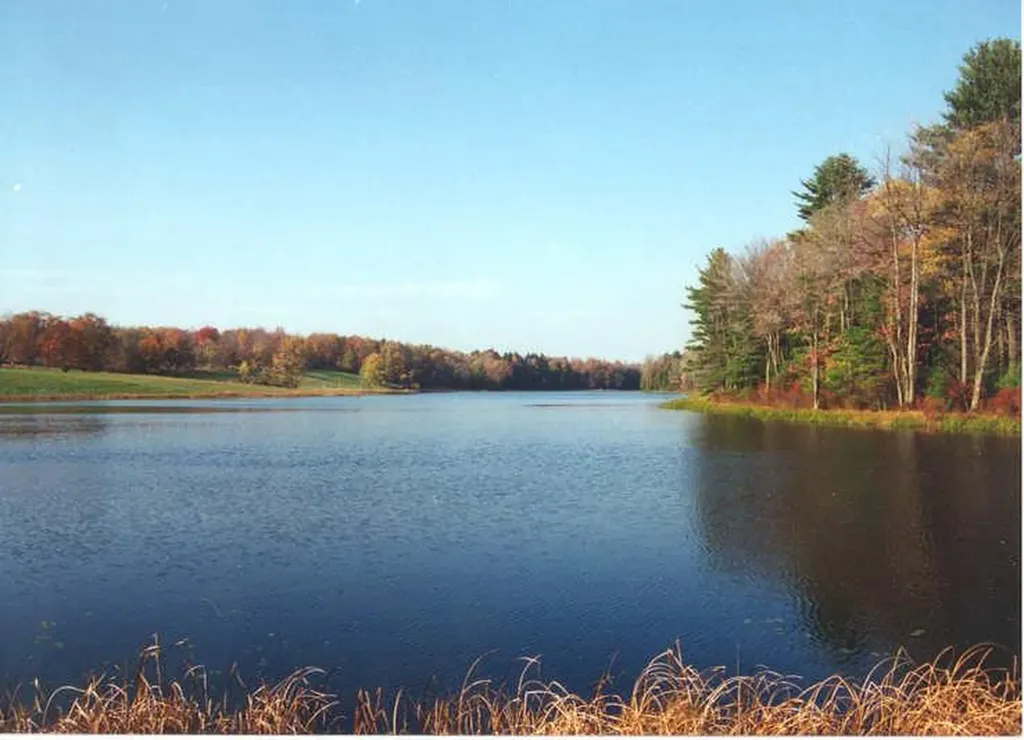 RT-17B White Lake NY 12720