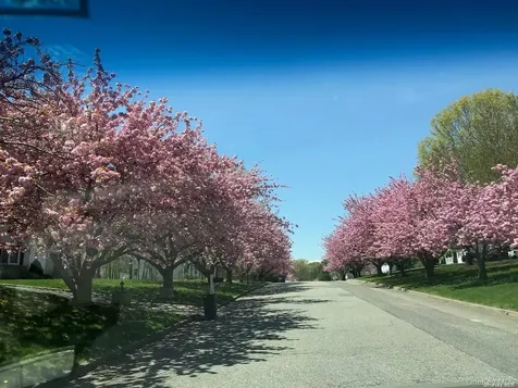 21 Victoria Lane Manorville NY 11949