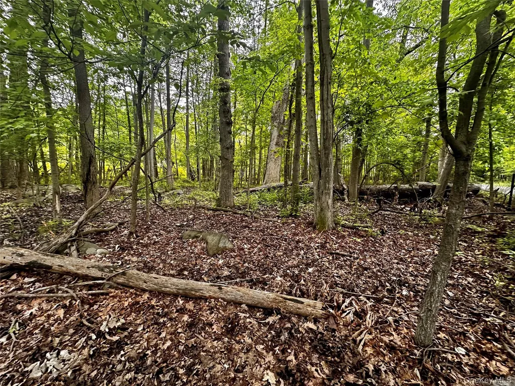 28 Ludlow Lane Palisades NY 10964