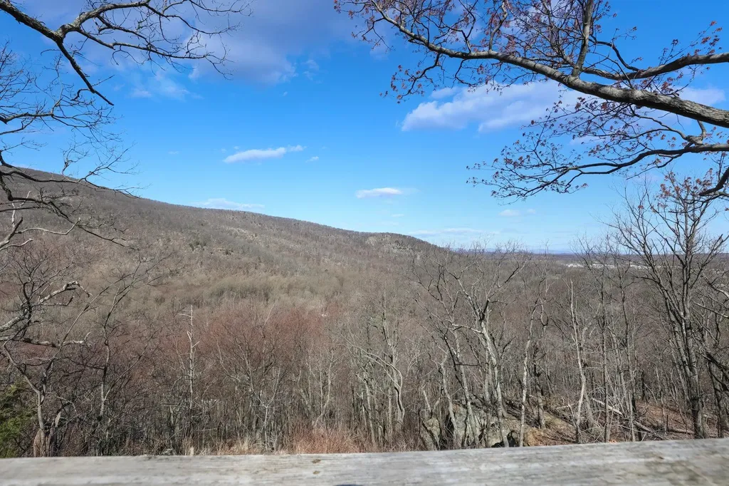 254 S Rapalje Road Fishkill NY 12524
