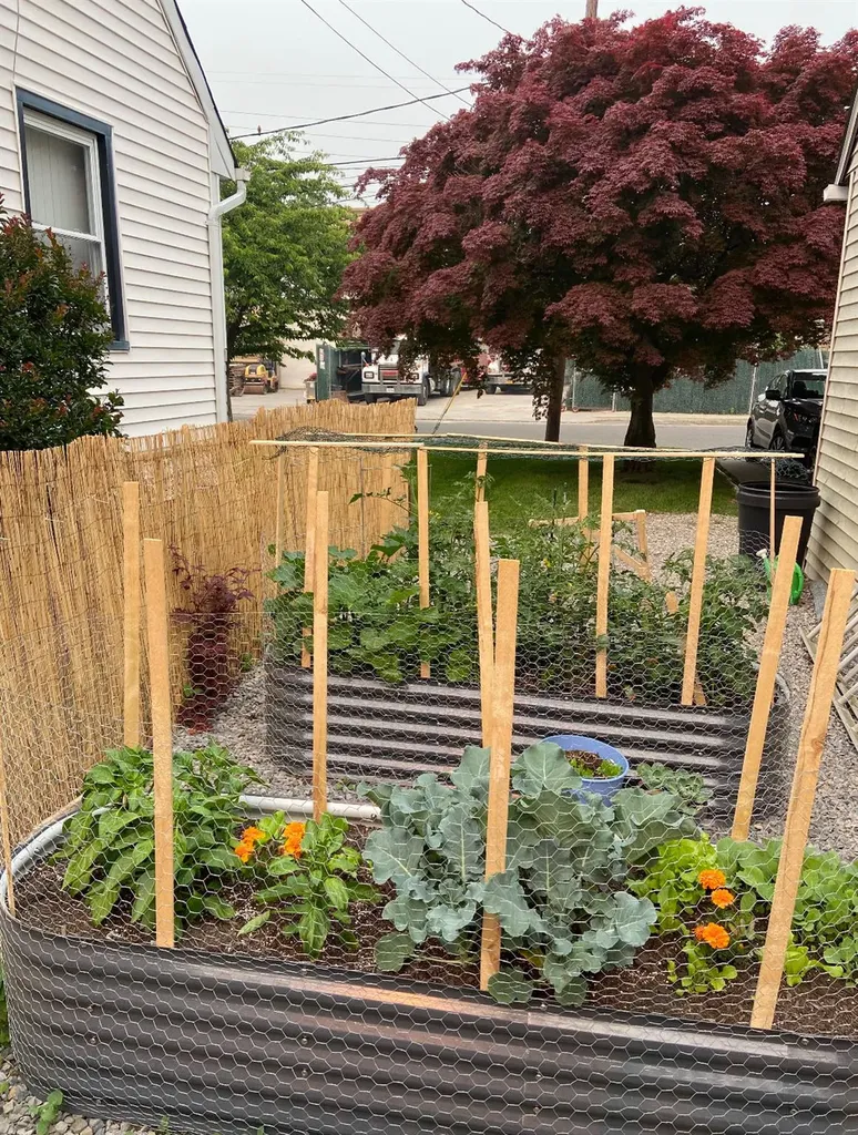 66 Albertson Avenue Albertson NY 11507