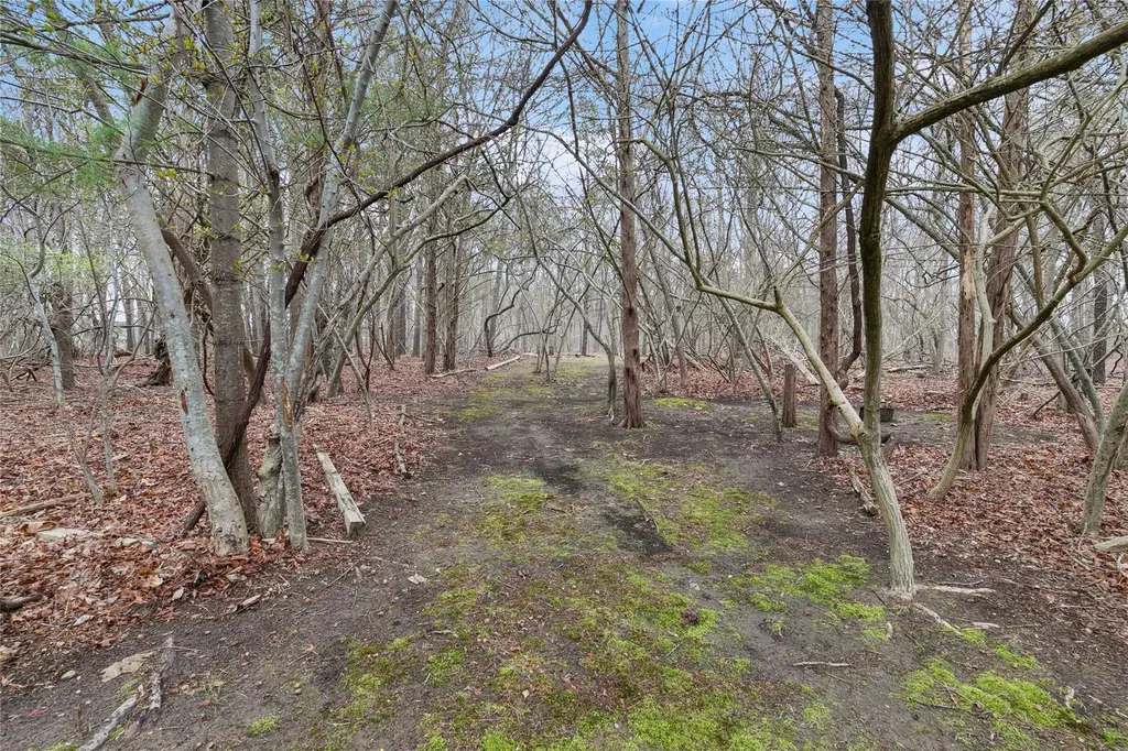 113 Ridge Road Ridge NY 11961