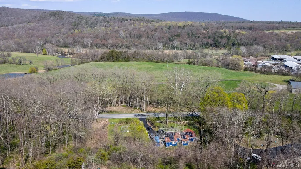 593 Old State Route 22 Dover Plains NY 12522