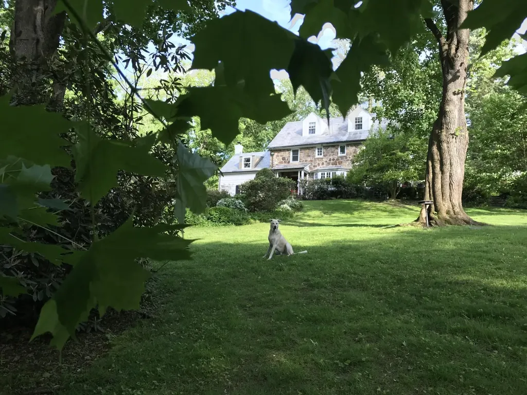 68 Spruce Lane S Chappaqua NY 10514