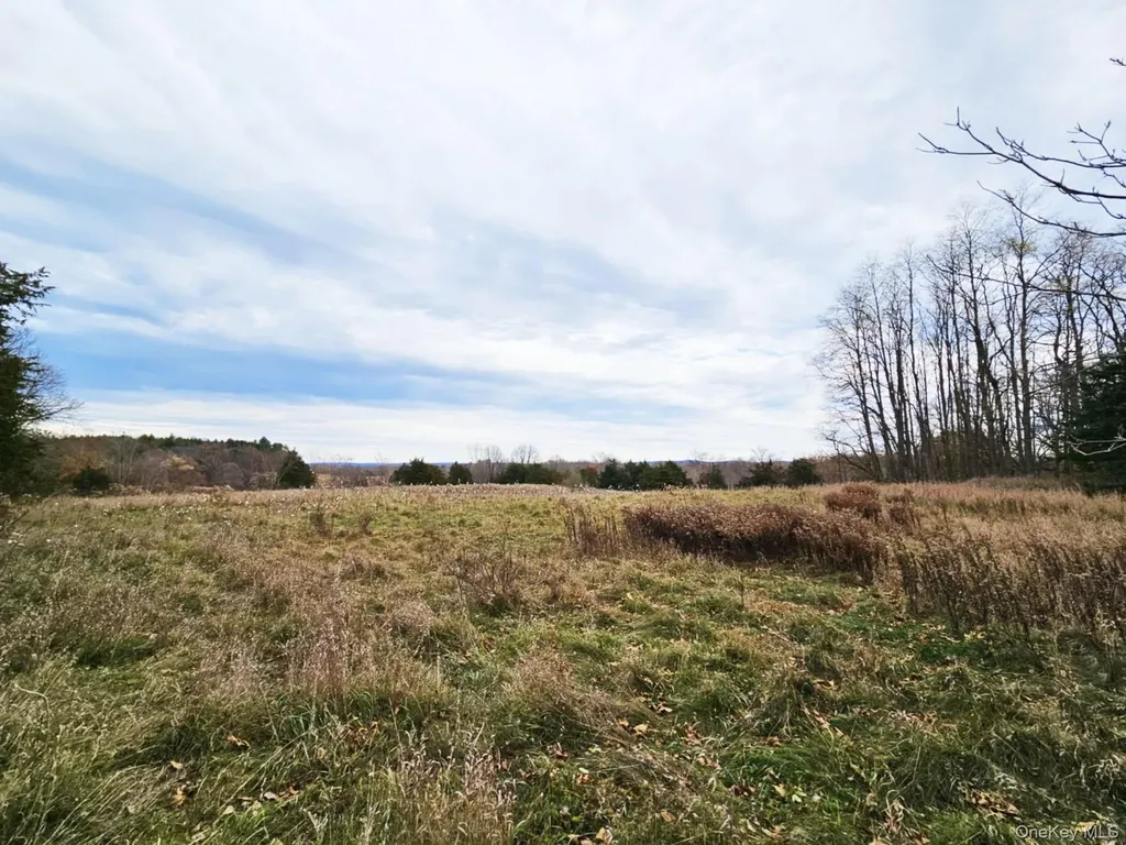 274 Fingar Road Hudson NY 12534