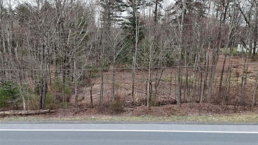 RT-42 South Fallsburg NY 12733